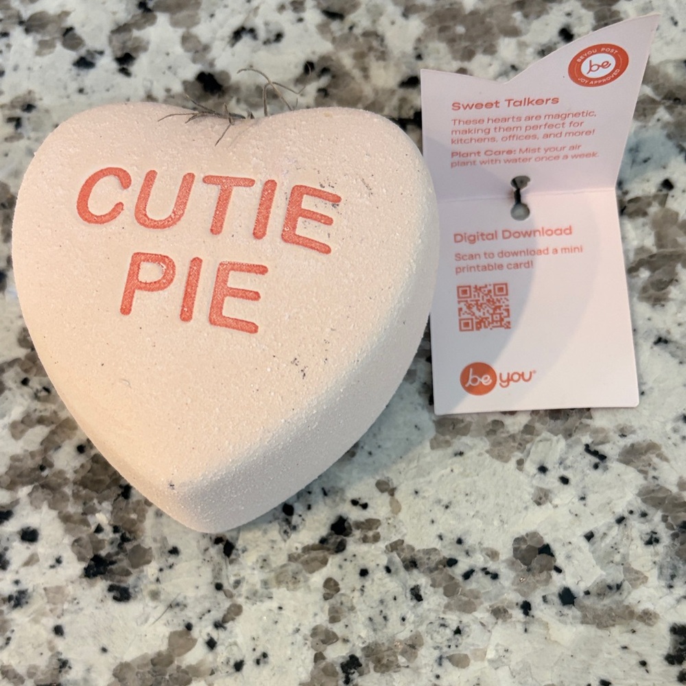 Cutie Pie Heart Magnet Air Plant Pot